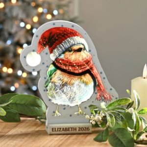 Personalised Robin Infinity LED Christmas Light Personalised Robin Infinity LED Christmas Light