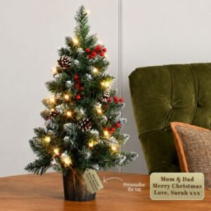 Personalised 60cm Pre-Lit Potted Christmas Tree Personalised 60cm Pre-Lit Potted Christmas Tree