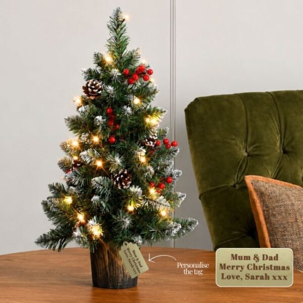Personalised 60cm Pre-Lit Potted Christmas Tree Personalised 60cm Pre-Lit Potted Christmas Tree