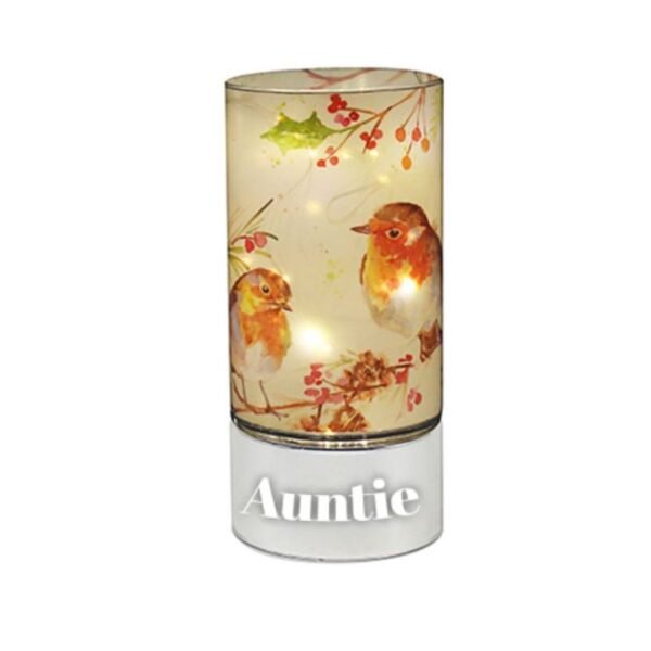 Personalised Winter Robin LED Tube Light