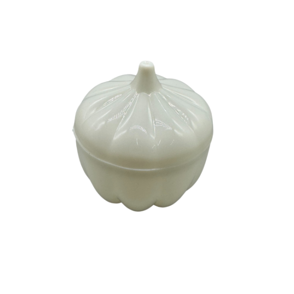 Garlic Container