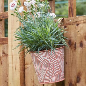 Fern Hanging Pot – Terracotta Fern Hanging Pot – Terracotta