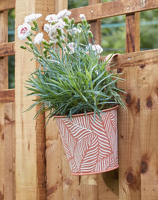 Fern Hanging Pot – Terracotta