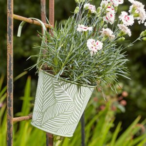 Fern Hanging Pot – Sage Fern Hanging Pot – Sage