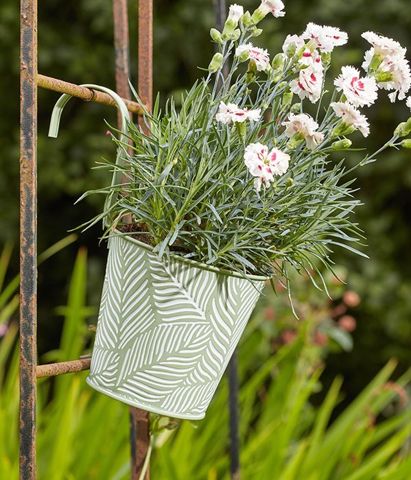 Fern Hanging Pot – Sage Fern Hanging Pot – Sage