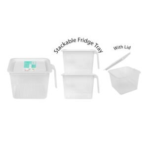Stackable Fridge Box with Lid - Square Stackable Fridge Box with Lid - Square