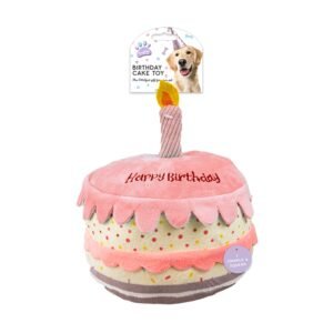 Birthday Cake Pet Toy