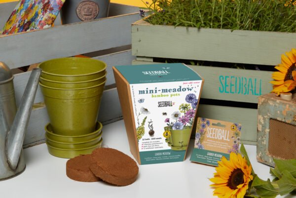 Mini-Meadow Bamboo Pots Pack of 3