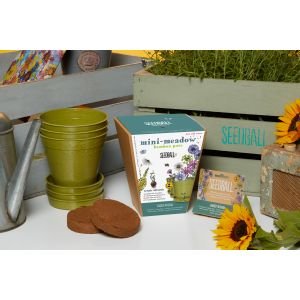 Mini-Meadow Bamboo Pots 3pk Mini-Meadow Bamboo Pots 3pk