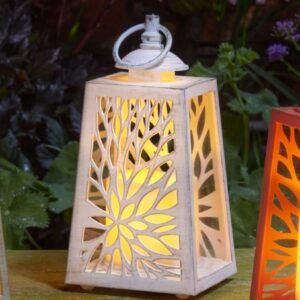 Cornish In Lit Lantern – White Cornish In Lit Lantern – White
