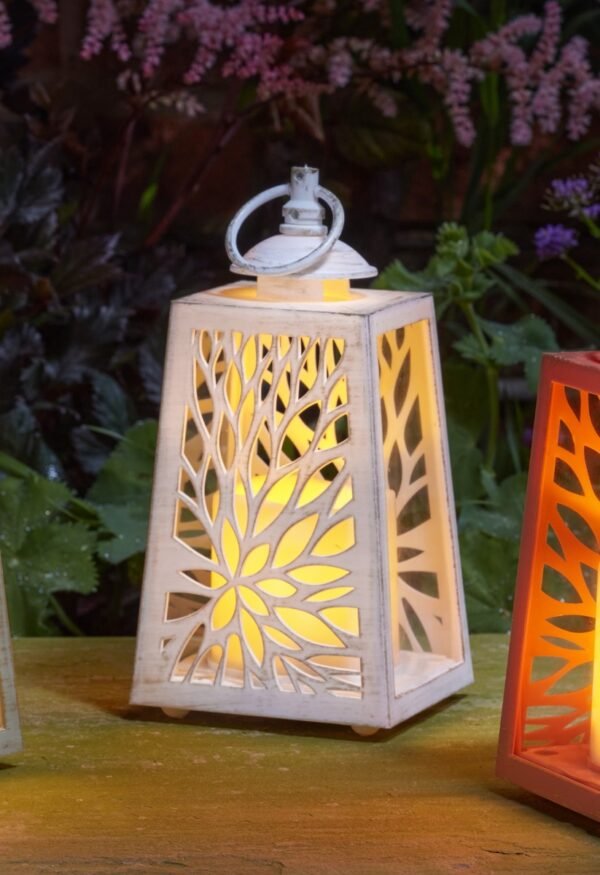 Cornish In Lit Lantern – White