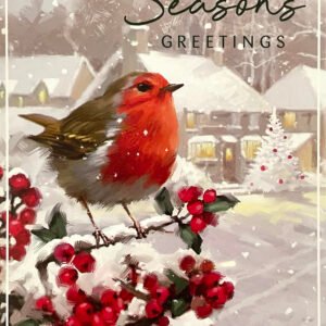 Christmas Card Bumper Pack – 30 Cards
