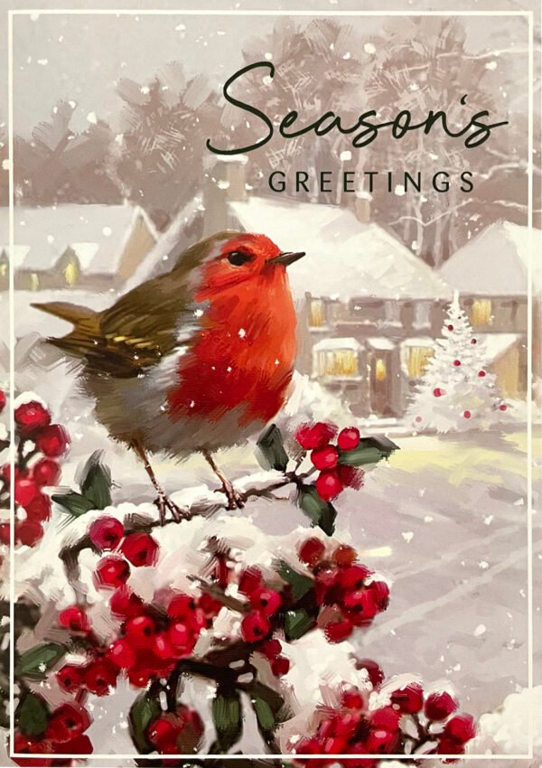 Christmas Card Bumper Pack – 30 Cards