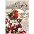 Christmas Card Bumper Pack – 30 Cards
