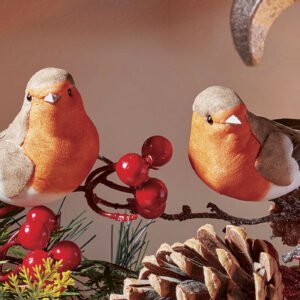 Robin Clips 2 Pack