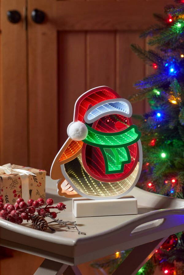 Robin Infinity Christmas Light