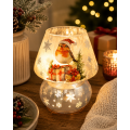 Frosted Robin Christmas Lamp